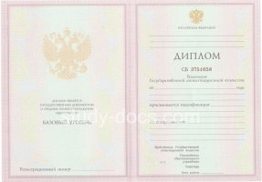 Диплом колледжа 2003-2006 в Пскове